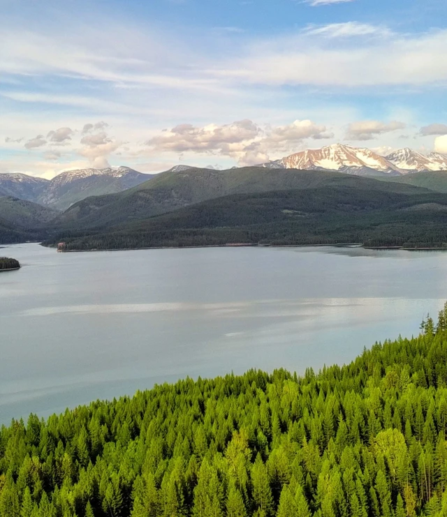 Tate Interiors Montana Interior Design Aerial Lake Pine Forest Mountain Range
