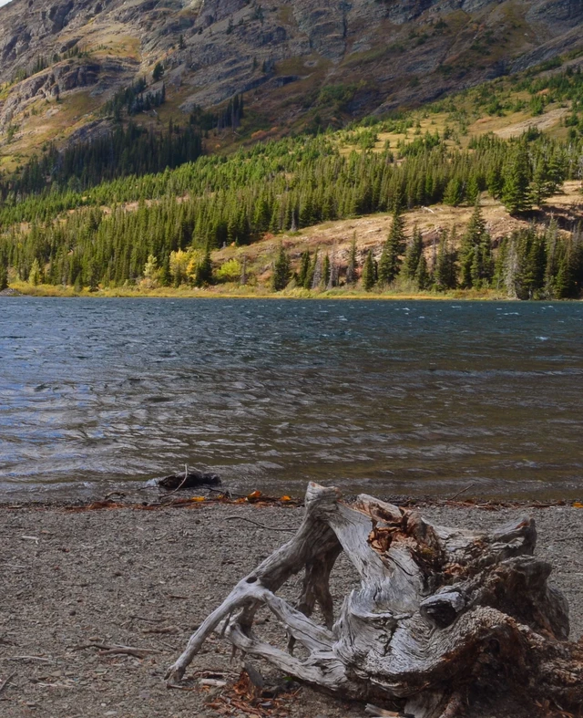 Tate Interiors Montana Interior Design Lake Shore Rocky Beach Mountain View